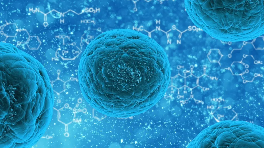 Bartonellosis
