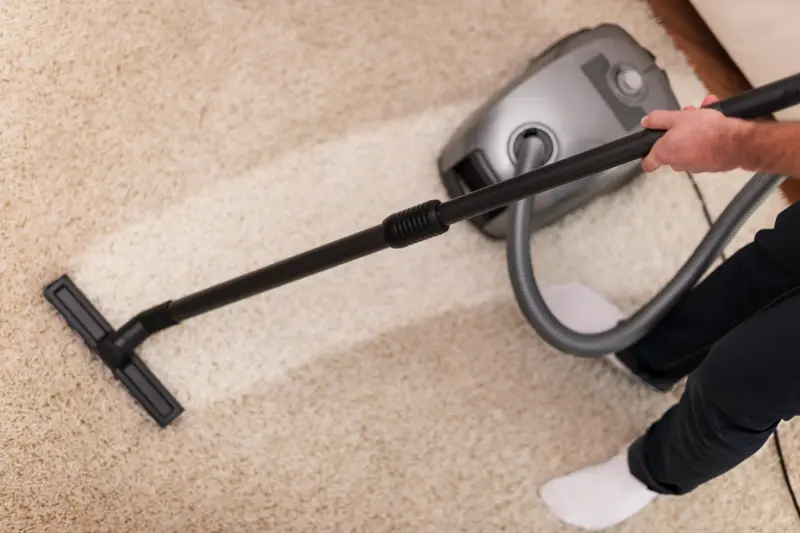 bed bug life cycle - How To Prevent Bed Bugs