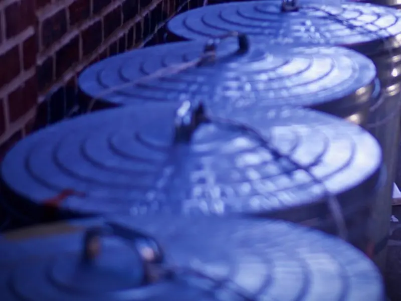 PREVENTING WASPS AND THEIR NESTS - Bin Lids