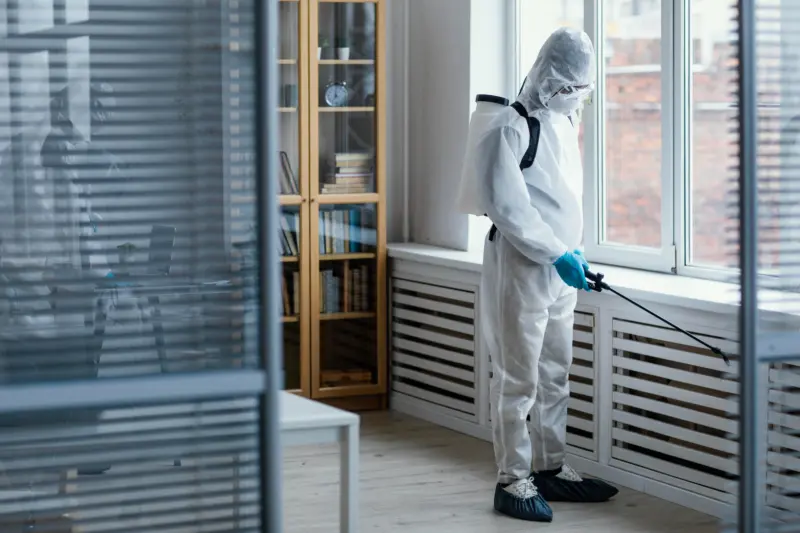 PROFESSIONAL PEST CONTROL Portsmouth, Southampton, Basingstoke And Hampshire