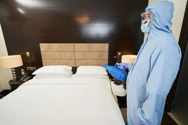 Bed Bugs Pest Control Portsmouth