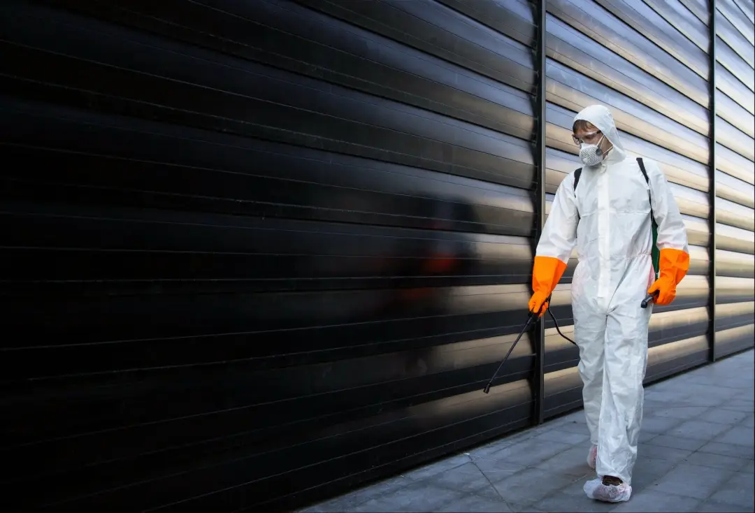 Pest Removal Services Portsmouth, Southampton, Basingstoke and Hampshire