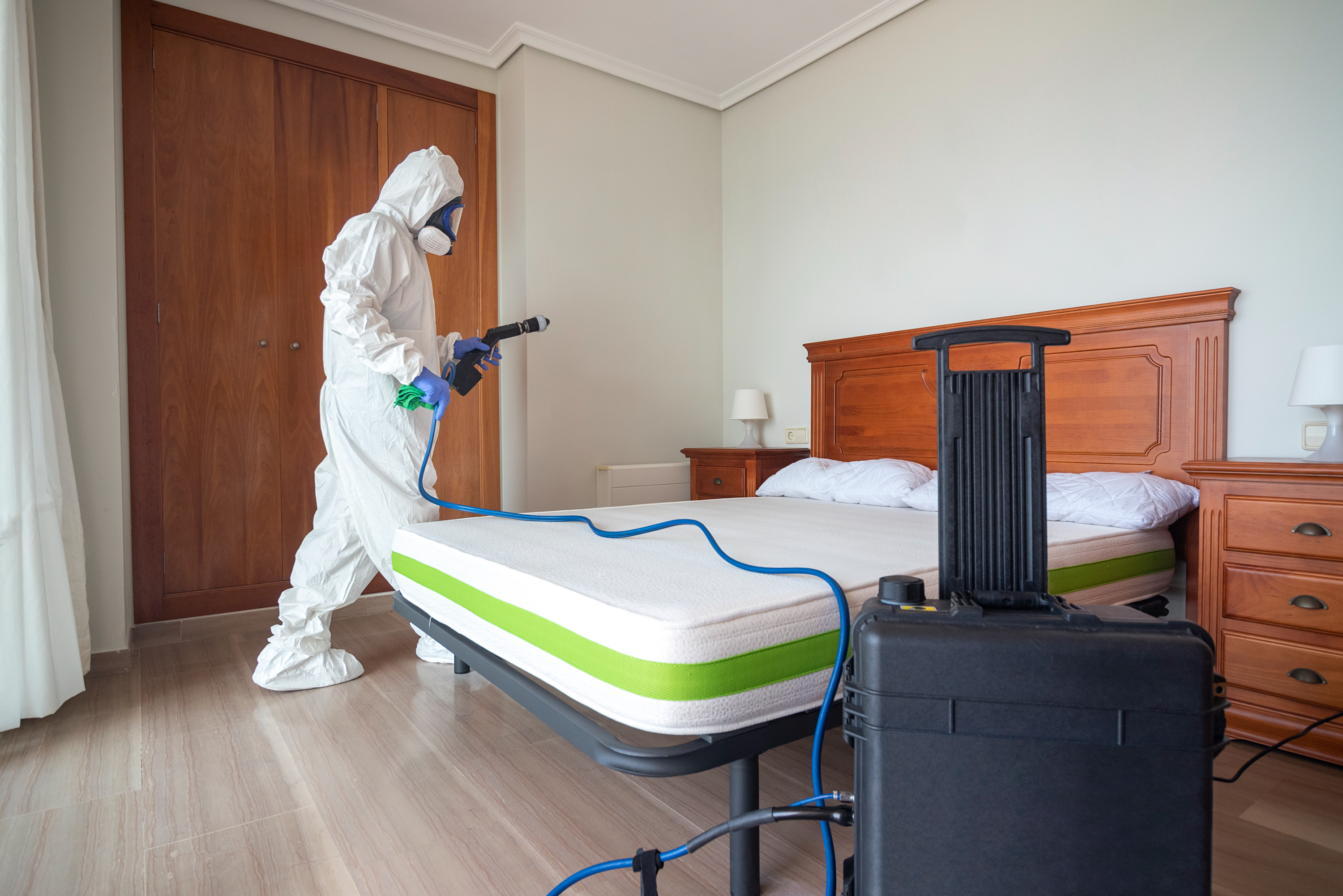 dealing with beg bugs - Bed Bugs Pest Control